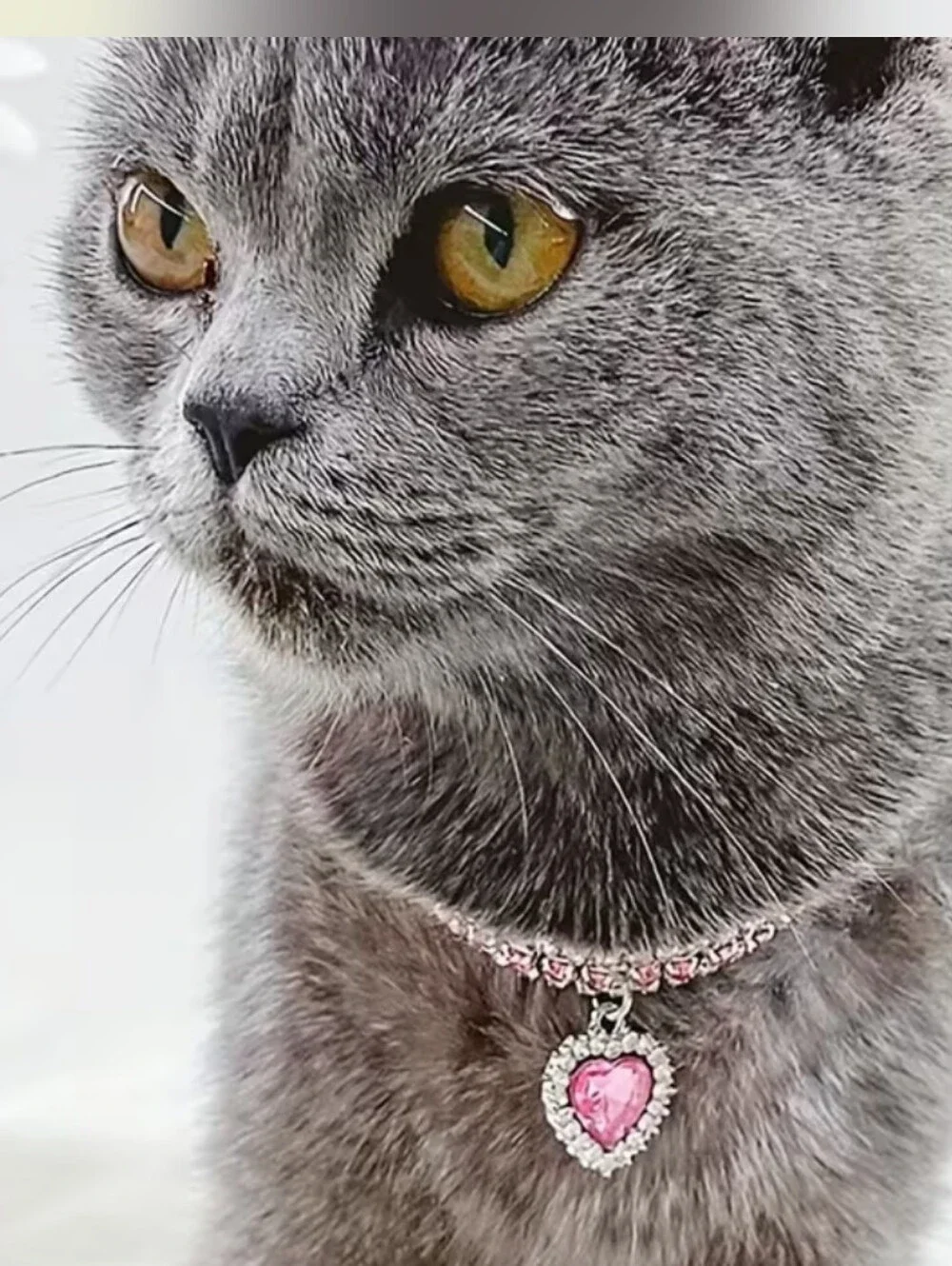 Pink Crystal Heart Pendant Collar For Dog Or Cat